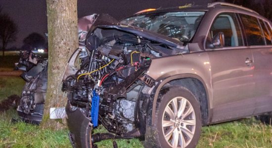 Bestuurder gewond na frontale botsing met een boom in Reduzum
