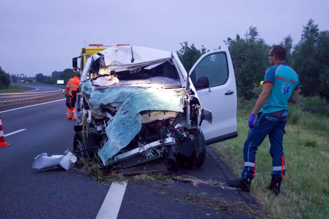 Bestelbus ramt verkeersbord en belandt in de bosjes, bestuurder aangehouden