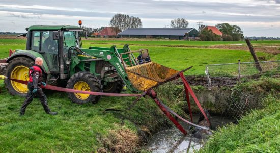 Brandweer haalt paard uit sloot in Tirns