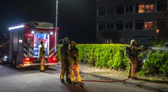 Haag in de brand door vuurwerk, omwonende weten hem te blussen