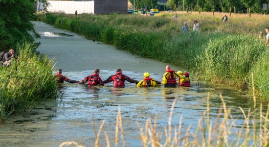 Hulpdiensten rukken massaal uit voor mogelijk persoon te water