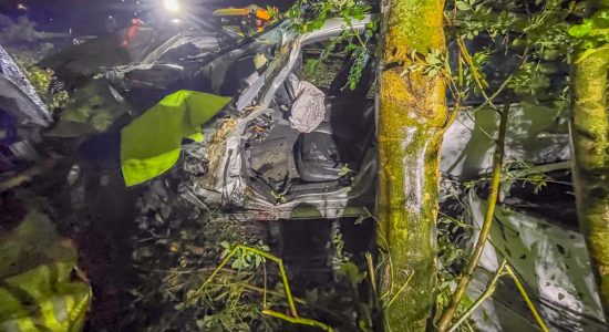 Bestuurder zwaargewond na harde klap tegen boom op afrit A7 bij Bolsward