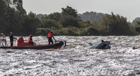 Valk slaat om op het Heegermeer door storm