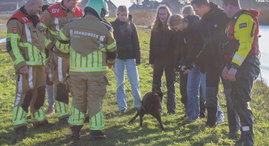 Brandweer haalt hond uit het water in Heeg