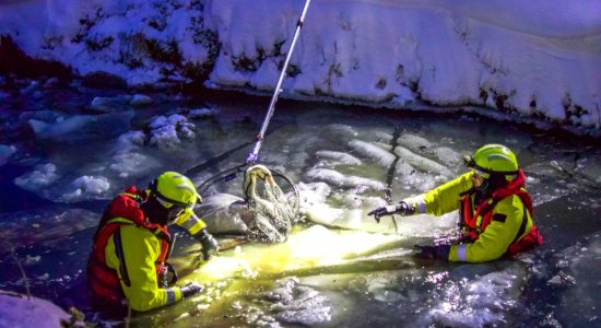 Brandweer redt zwaan uit het ijs in Tersoal
