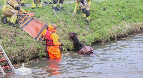 Brandweer redt paard uit de sloot in Tjerkwerd