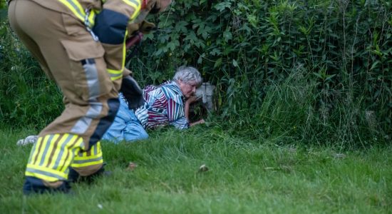 Hondje Teuntje bevrijd uit betongaashekwerk door brandweer