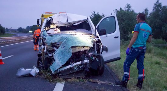 Bestelbus ramt verkeersbord en belandt in de bosjes, bestuurder aangehouden