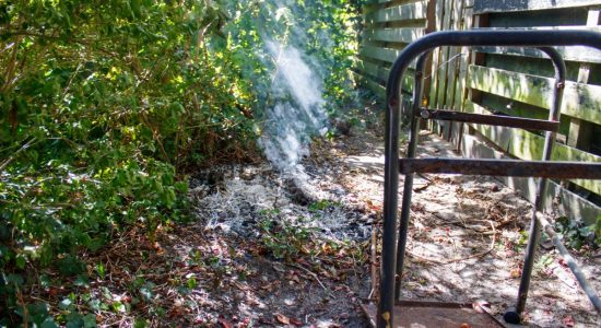 Bosjes in brand langs Oosthemstraat in Sneek snel geblust