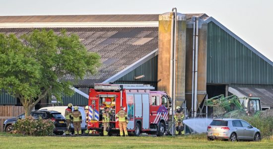 Cabine tractor in brand in Koufurderrige