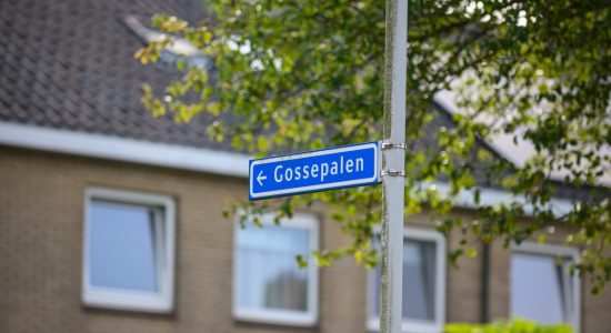 Mishandeling fietser op Gossepalen in Sneek: politie zoekt getuigen